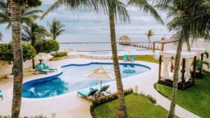 xr:d:DAEMrW4V-o4:16878,j:41353689587,t:22111804