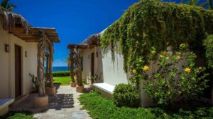 xr:d:DAEMrW4V-o4:17074,j:43372946133,t:22120820