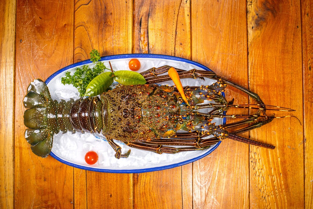 Lobster Paradise, authentic seafood restaurant in Punta de Mita